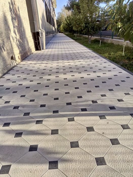 Бурсчатка сокл кафел терамиз