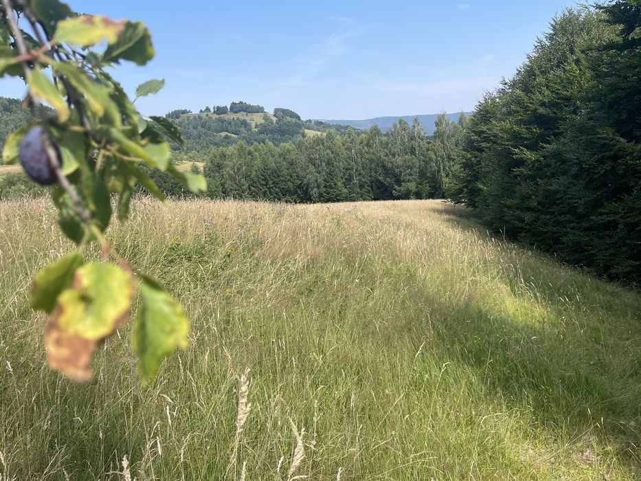 Teren extravil-intravila  2 parcele  la Vladeasa jud. Cluj,sat Visagu.