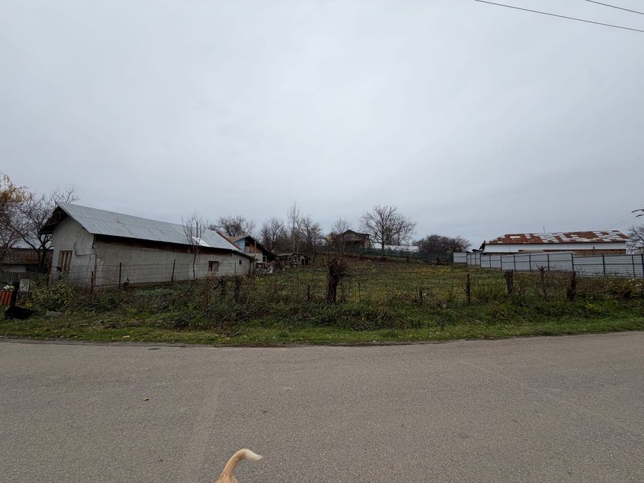 Teren intravilan - Băicoi - 1061mp