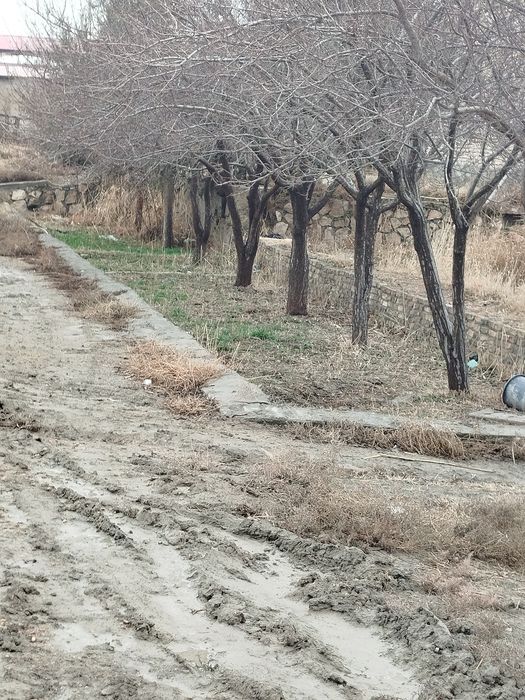 Гишт заводи сотилади