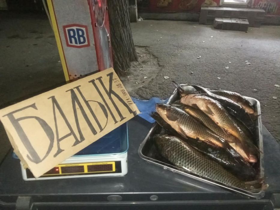 Рыба свежая, с Балхаш