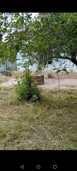 Кашкадареда шинам ховли