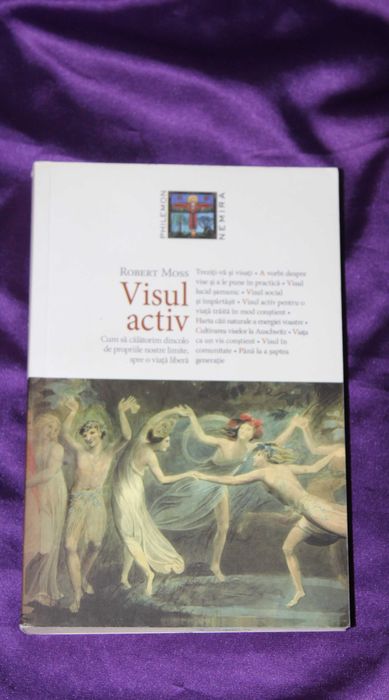 Problema Puer Aeternus  Marie-Louise von Franz Visul activ Psihologie