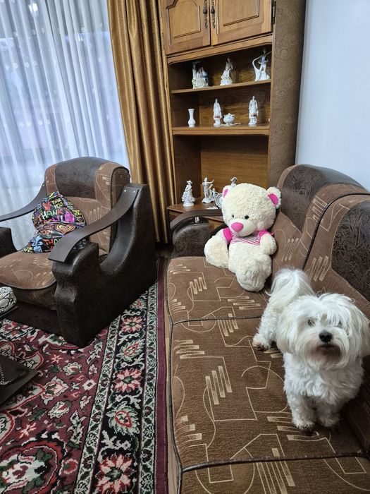 Mobila pe colt cu doua fotolii