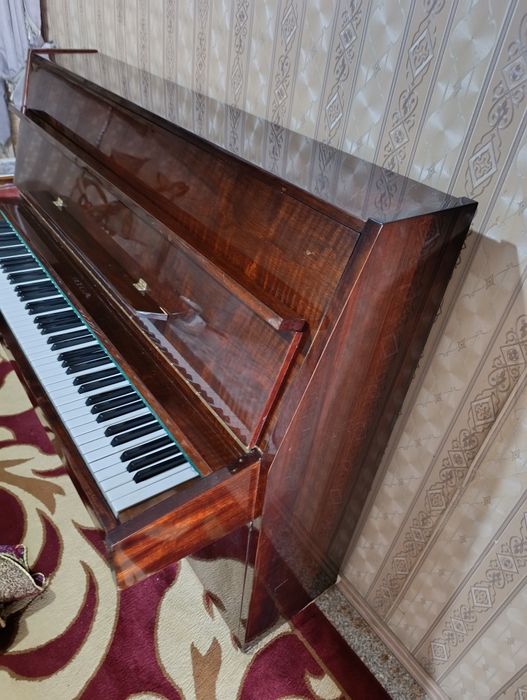 Riga orginal piyanina