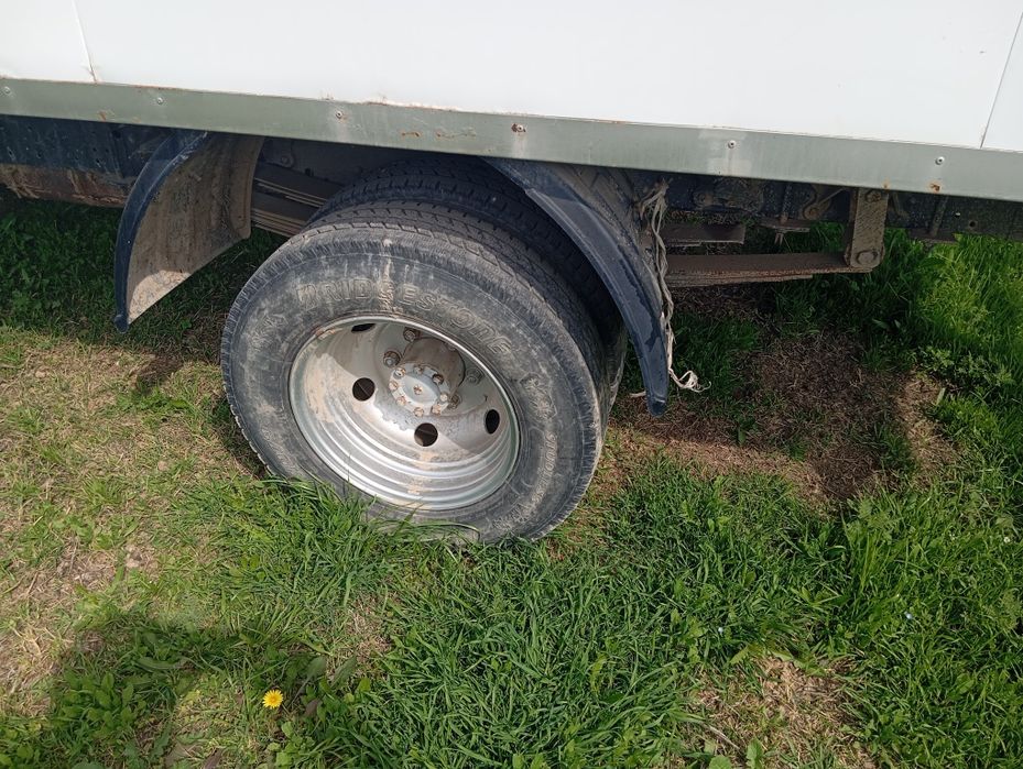 Gazel bortli holati yaxshi