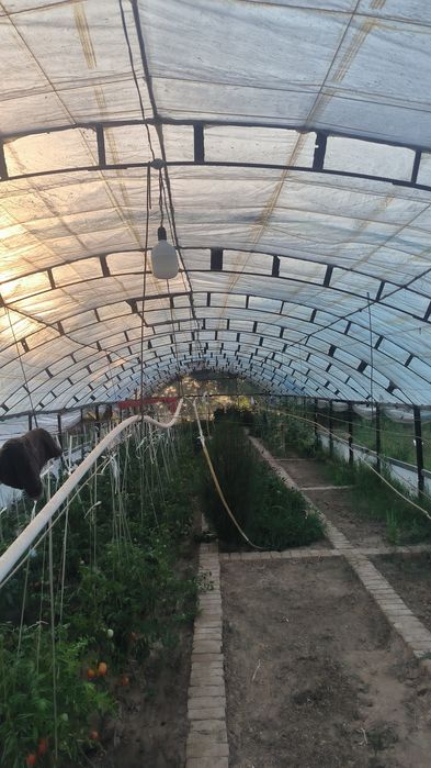 Продаю участок 10 сот