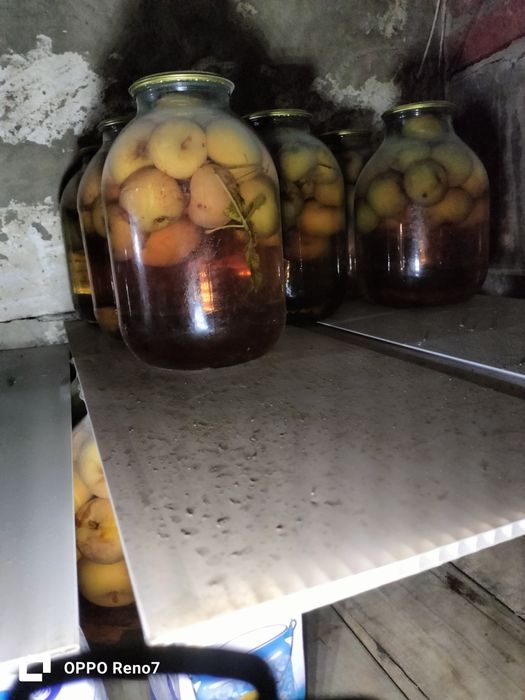 Огурцы дачные компот