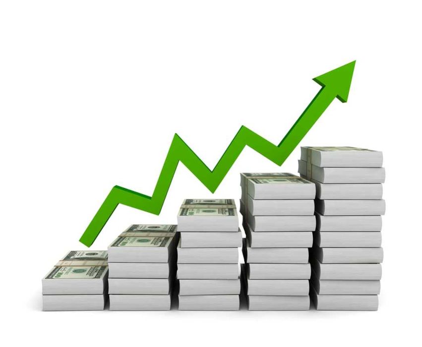 Premiks Yem Qo'shimcha Bonzaplex 7