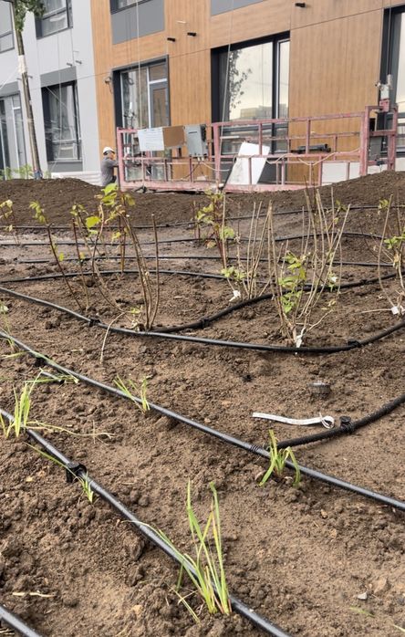 Ремонт и регулировка автополива