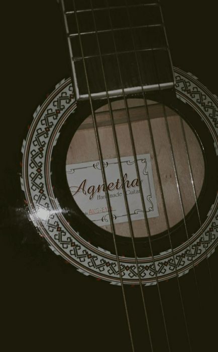 Акустическая гитара Agnetha