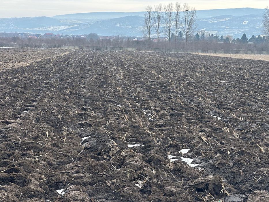 Teren Dancu deschidere la doua drumuri