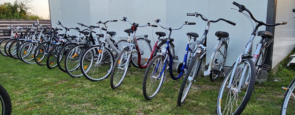 Bicicleta/Biciclete Dama