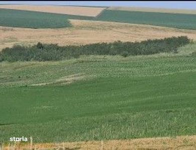 Teren Extravilan Aroneanu, ID: R2577828