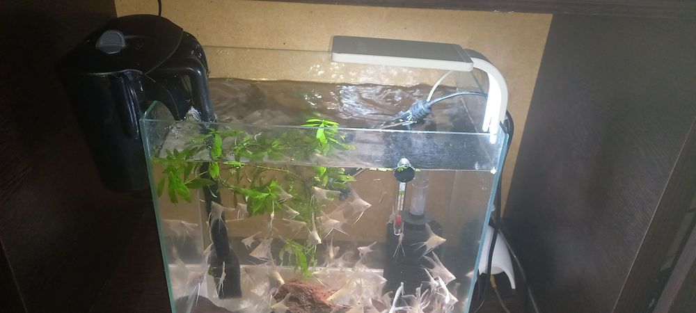 Аквариум с рыбками