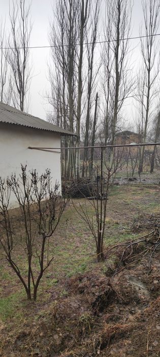 Oqtosh hondoyliqda dacha qurish uchun yer sotiladi