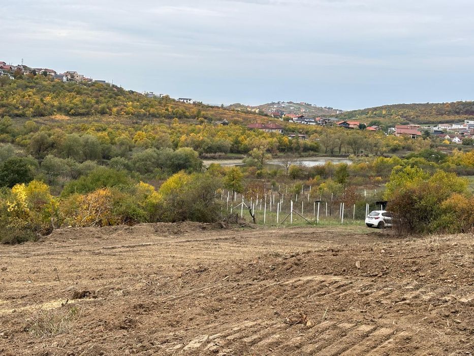 Parcele 665mp si 1000mp. Okazie  Saldabagiu de Munte