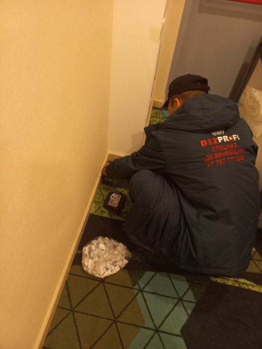 Озонация, фумигация, фогация, дезинфекция от клопов и тараканов ...