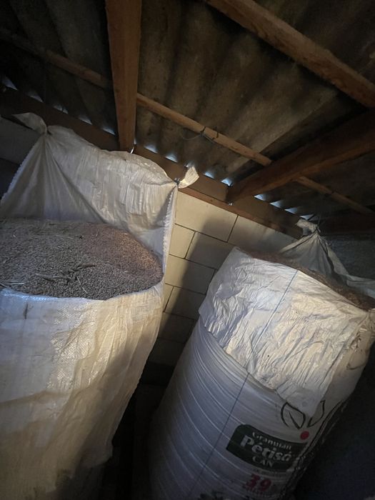 Vând Cereale ! A mai ramas pe stoc doar samanta de floarea soarelui !!!