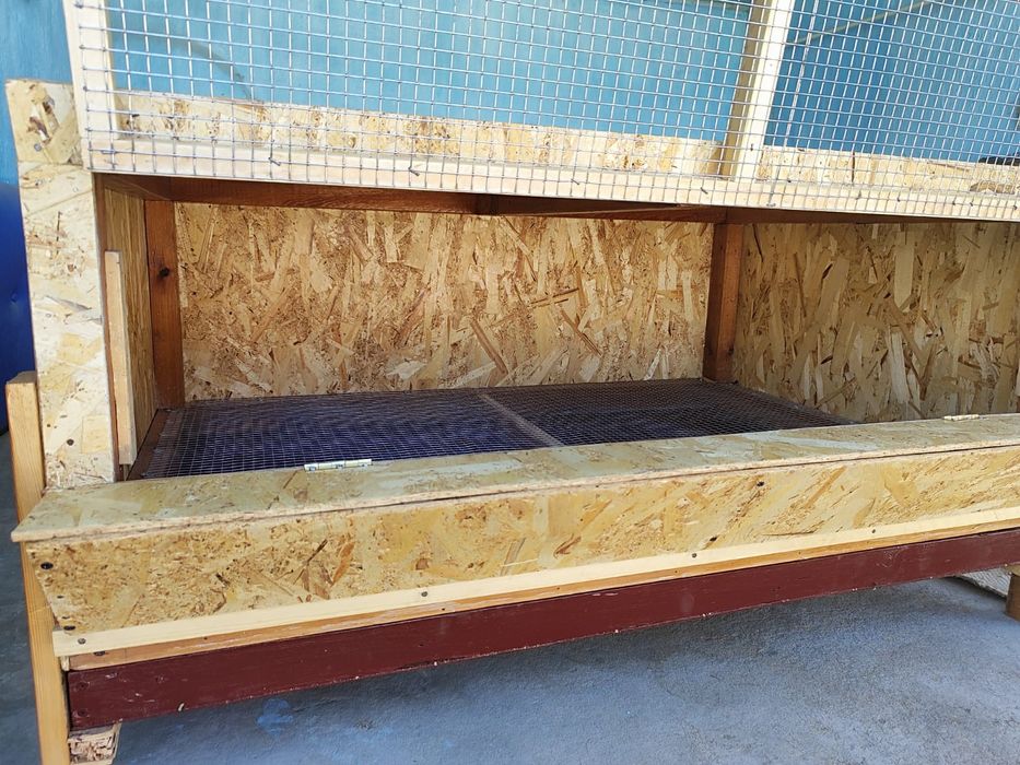 Брудер для цыплят