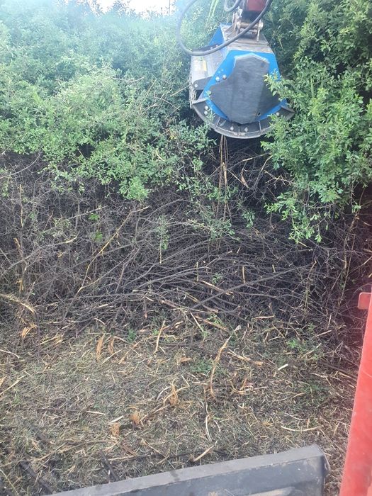 Defrisat tocat curățat terenuri