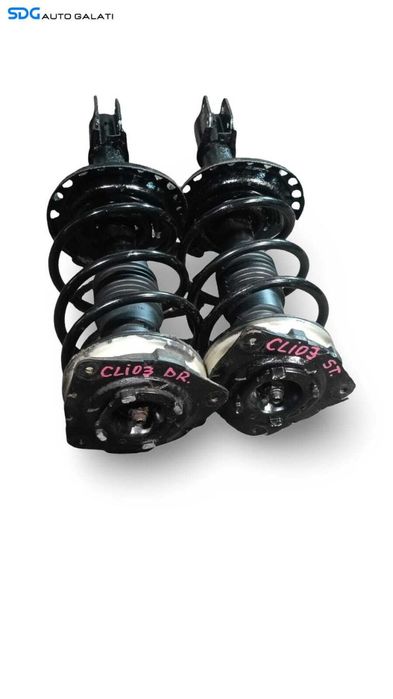 Set Amortizoare Telescoape Fata Complete Renault Clio 3 1.5 DCI 2005 - 2014 [M9755]
