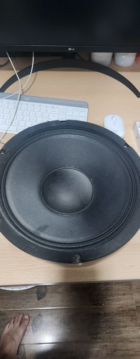 Doua difuzoare 32cm si doua goarne Piezo