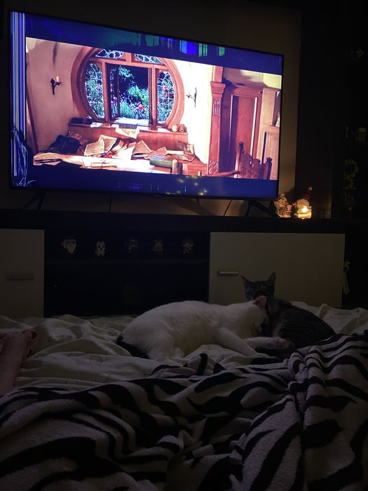 Televizor Samsung SMART TV 108cm