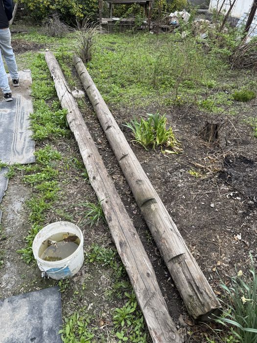 Продам дерево сосна