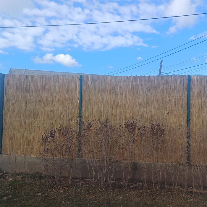 Panouri gard din stuf