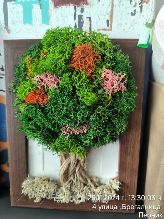 Декорации от жив скандинавски мъх и сапунени рози