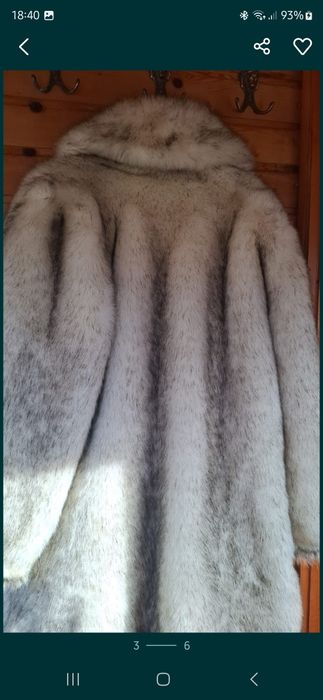 Haina blana vulpe argintie