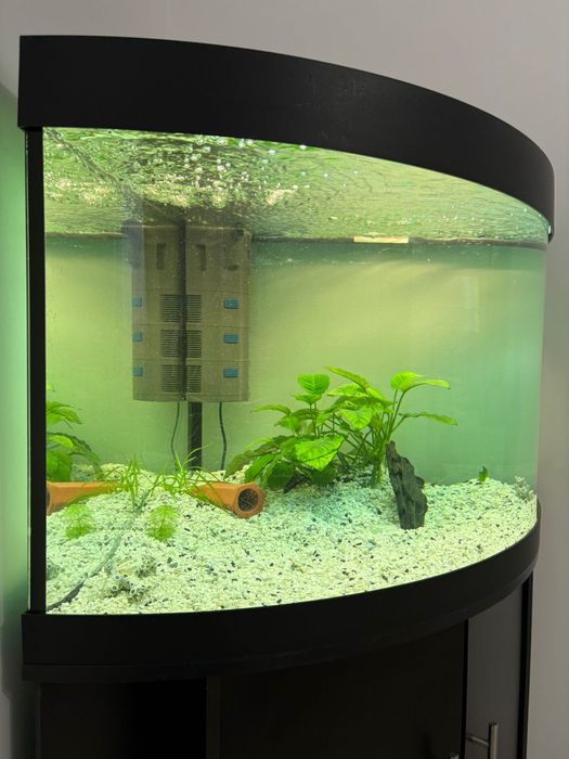 Vand Acvariu Juwel de 190 Litri