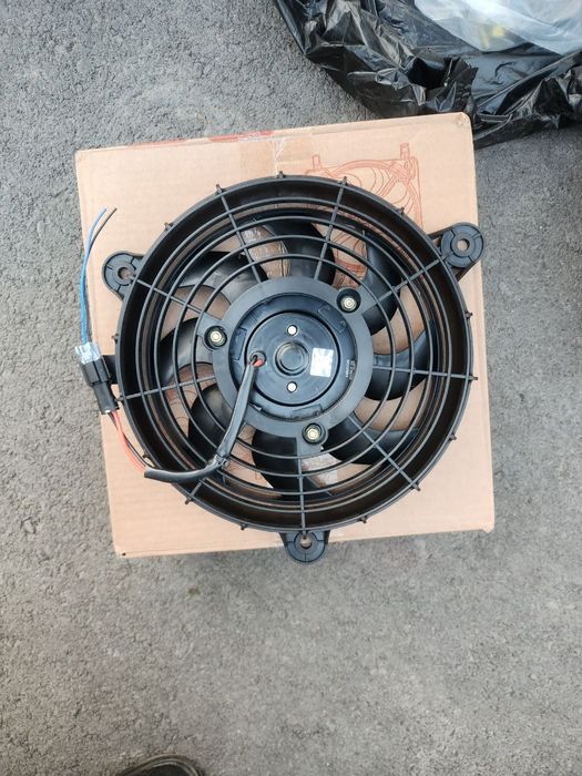 Avto kanisaner zaprafka