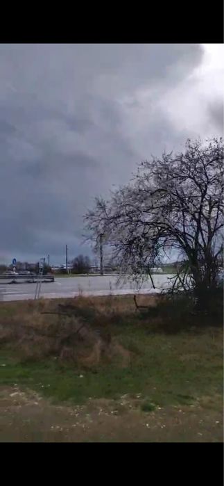 Продава се Земеделски имот в Хасково, Орфей -  кв.м за 10000 €/дка - Снимка #3