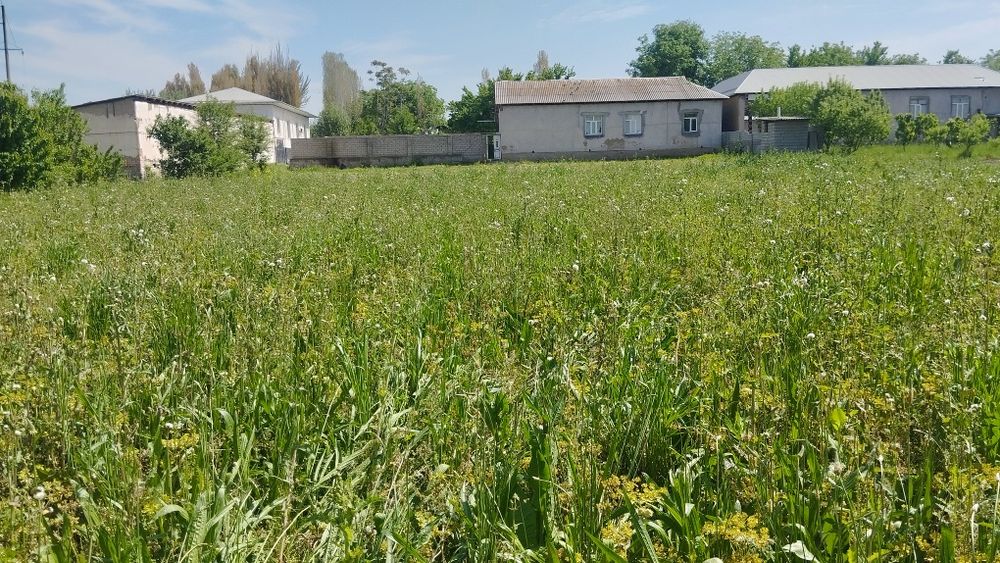 Срочно 6 сотих ер сотилади