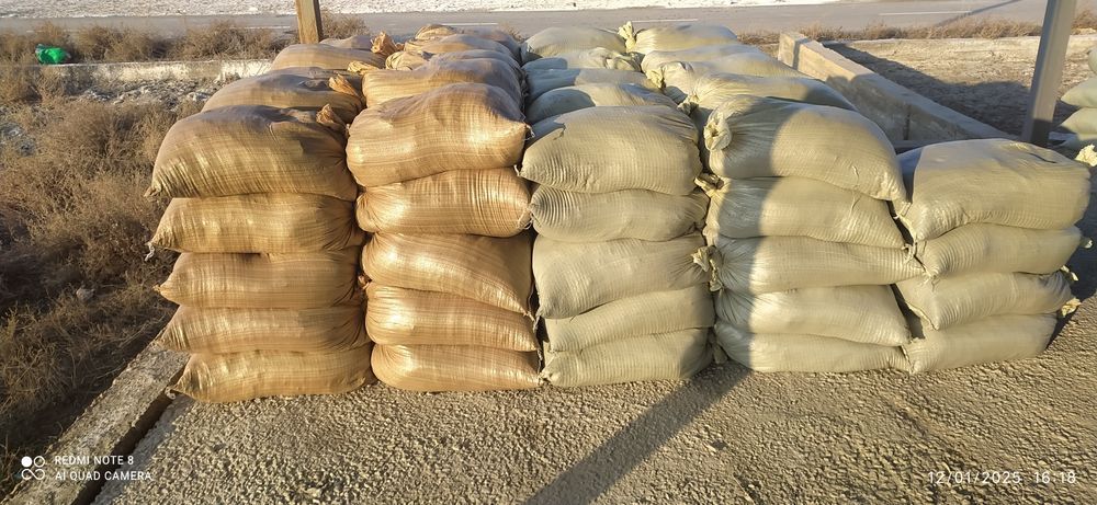 Biogomus optom narxda