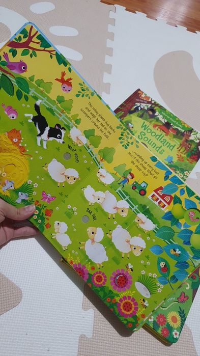 Set cărți usborne cu sunete