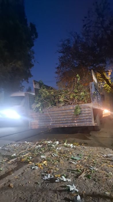 Вывоз мусор Вывоз ветка