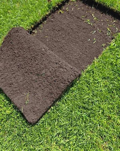 Таййор Газон | рулонный газон | gazon ekish