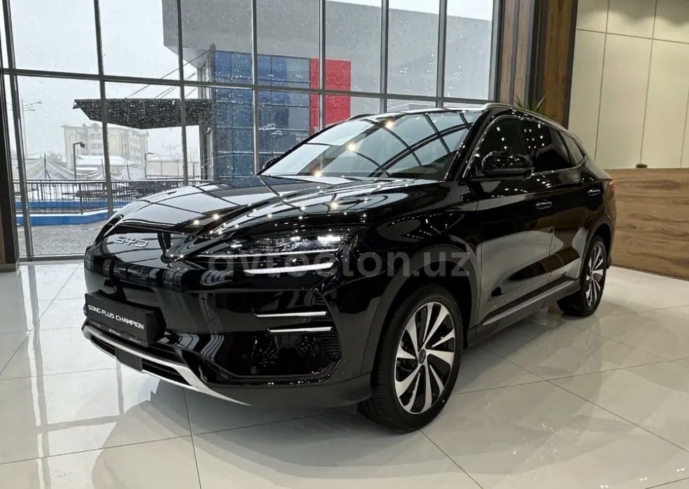 Byd Champion elektro full 605km