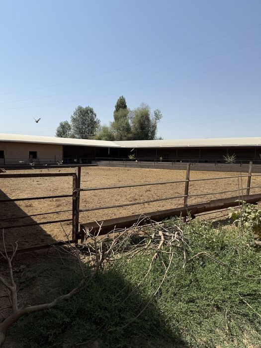 Участок (ферма), сад свой