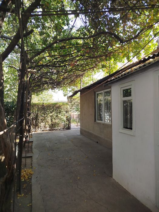 Продам дом с участком