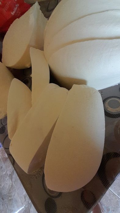 Vând caș de oaie 50 de lei kg