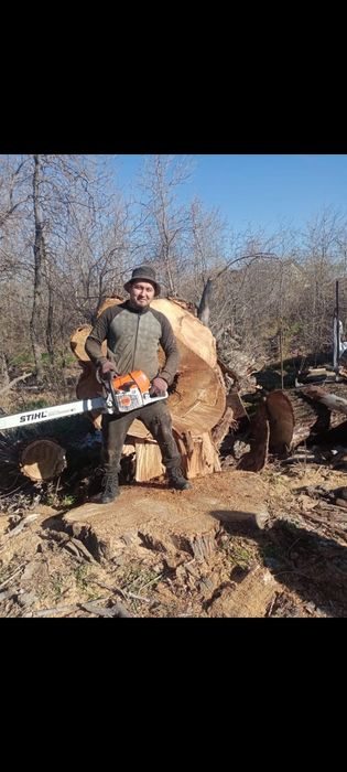 Спил деревьев, обрезка