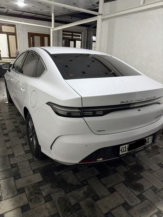 BYD Chazor 2024 — 3