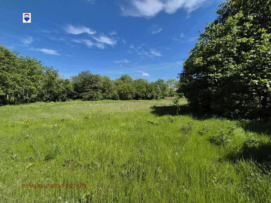 Селска къща с голям двор за продажба с. Бръшлен