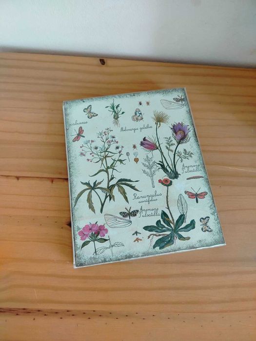 Ученически хербарии 3-7 клас, 17 стр. РЪЧНА декорация