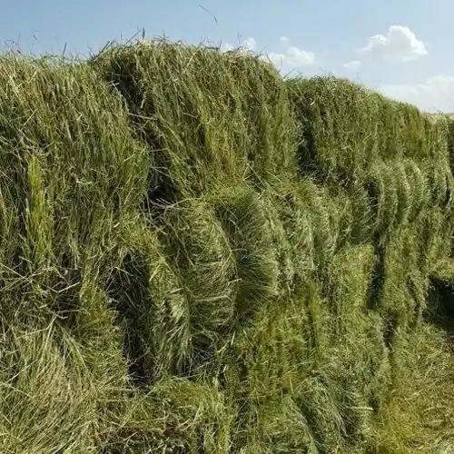 Продам рулоны и тюки сена