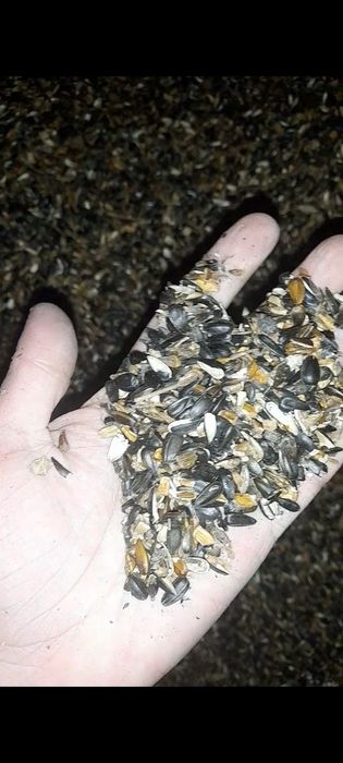 Продам отходы семечек